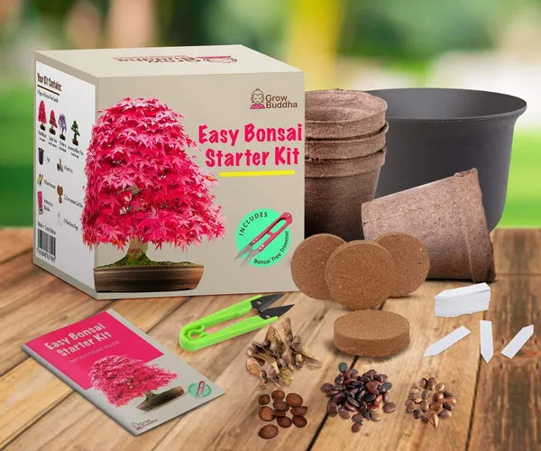 Easy Bonsai Starter Kit