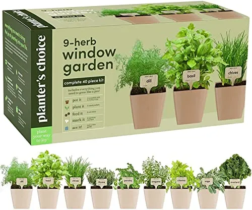 Nine Herb Window Garden
