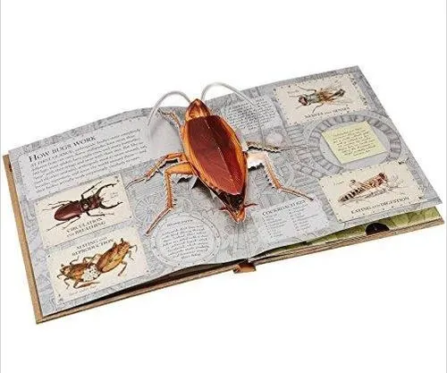 A Thrilling Pop up Book about Bugs