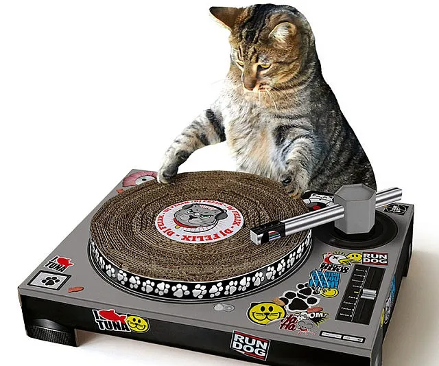 DJ Cat Scratch Turntable