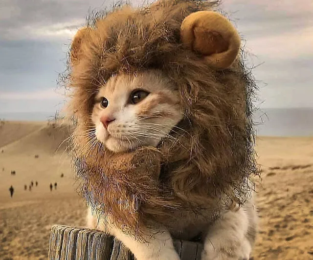 Prymal Lion King Cat Costume