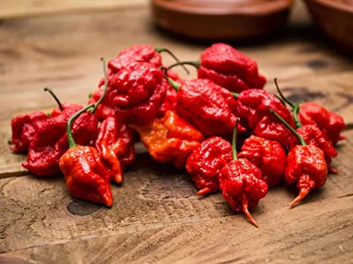 The World's Hottest Chili Pepper
