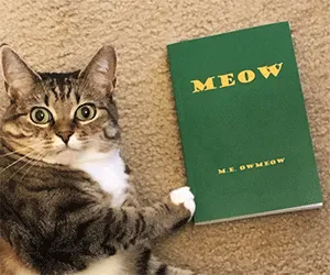 Meow The Book For Cats