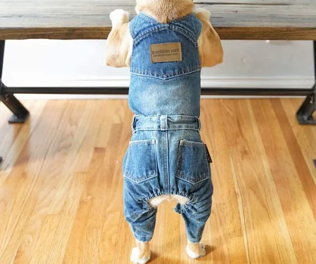 Dress Your Pup in Dog Overalls