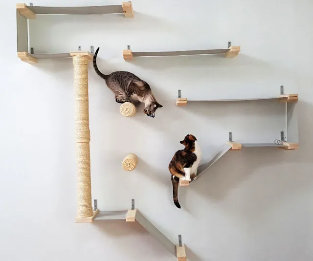 Cat Wall Mounted Activity Center