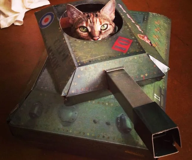 Cardboard Cat Tank Playhouse
