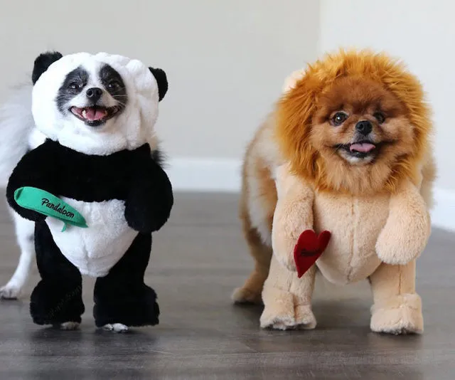 Pandaloon Costume for Puppies