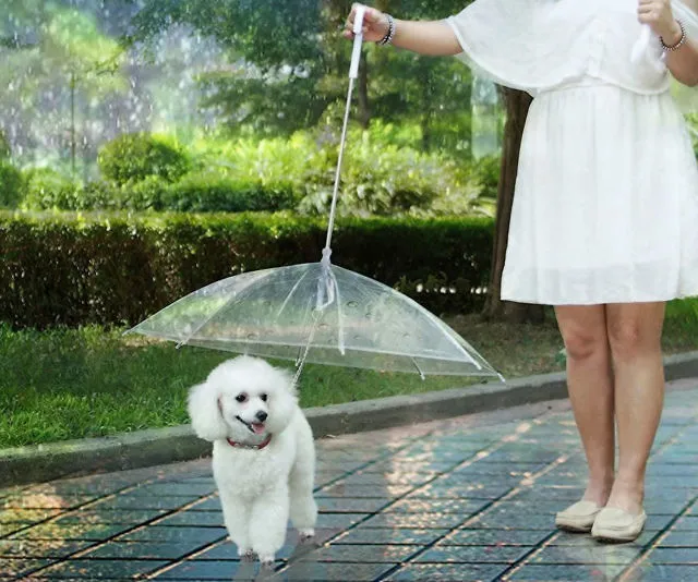 The Lesypet Dog Umbrella