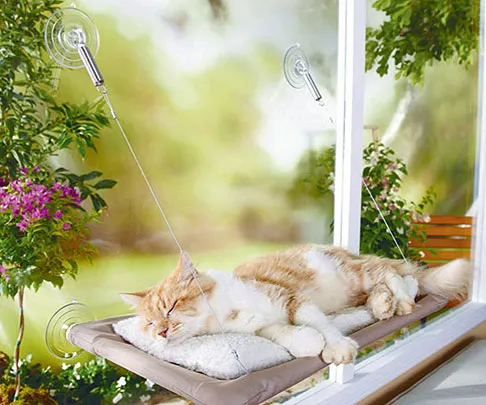 Kitty Cot Window Perch