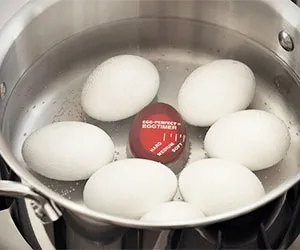 Perfect Hard Boiled Egg Timer