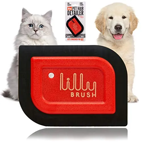 Lilly Brush Pet Hair Remover