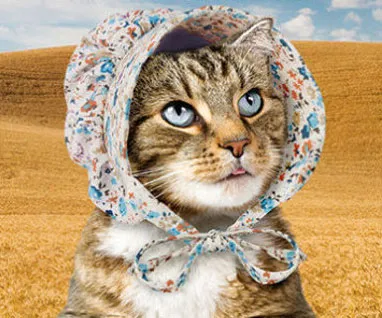 Mcphee Accoutrements Cat Bonnet