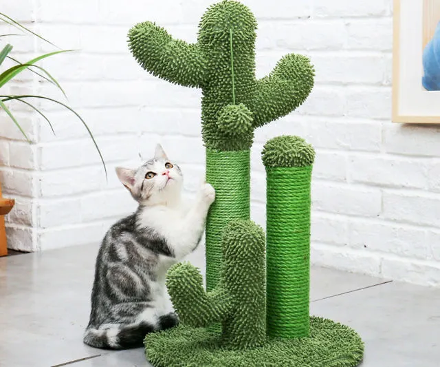 Cactus Cat Scratch Post by PAWZ