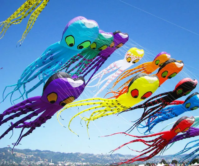 Giant Octopus Kites - Beach & Park Fun