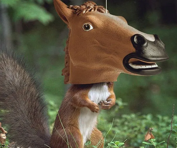 Funny Horse Head Squirrel Feeder