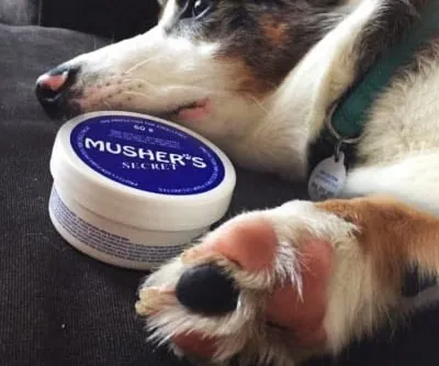 Musher's Pet Paw Protection Wax
