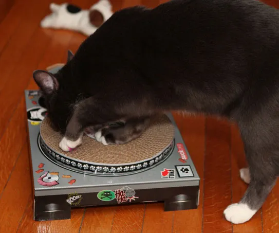 Cat Scratch Turntable
