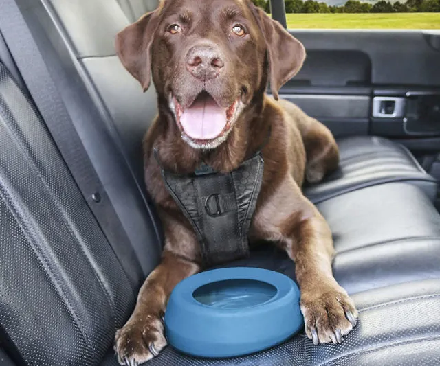 No-Spill Dog Travel Bowl