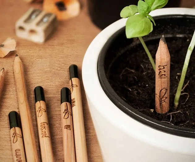 Grow Your Creativity with Sprout Pencils