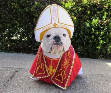 Pet Pope Costume for Your Dog