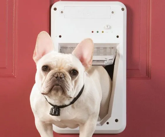 Tech-Savvy Electric Pet Door