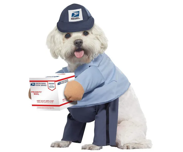 USPS Dog Mail Carrier Costume