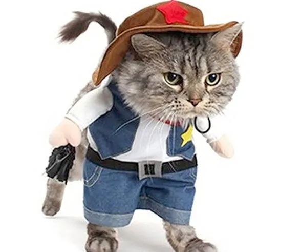Yeehaw! Pet Cowboy Costume