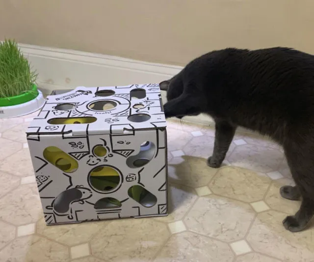 Cat Interactive Treat Puzzle Toy