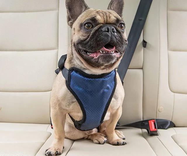 Pet Safe Vehicle Harness