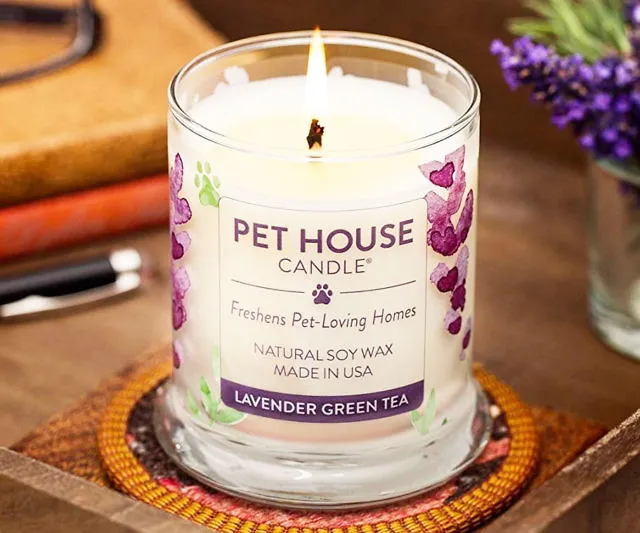 Pet House Odor Eliminating Candle