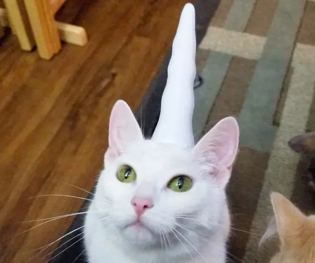 Unicorn Horn for Your Cat