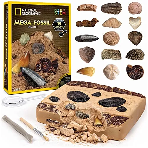 Mega Dinosaur Fossil Dig Kit