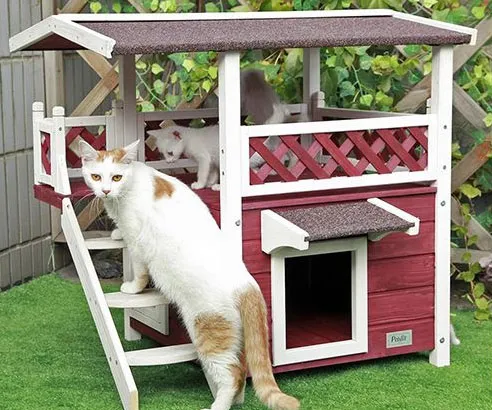 2-Story Outdoor Pet House