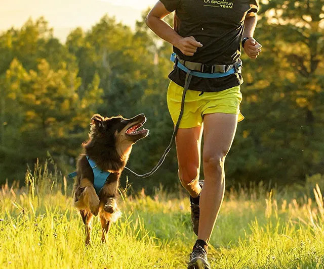 Hands Free Dog Leash for Adventures