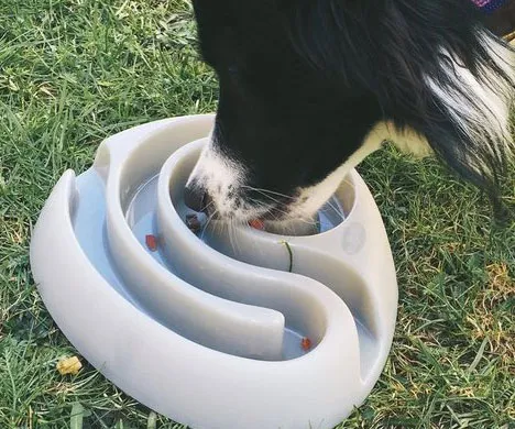 Food Maze Bowl for Dog