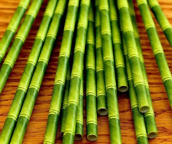 Kikkerland's Bamboo Paper Straws