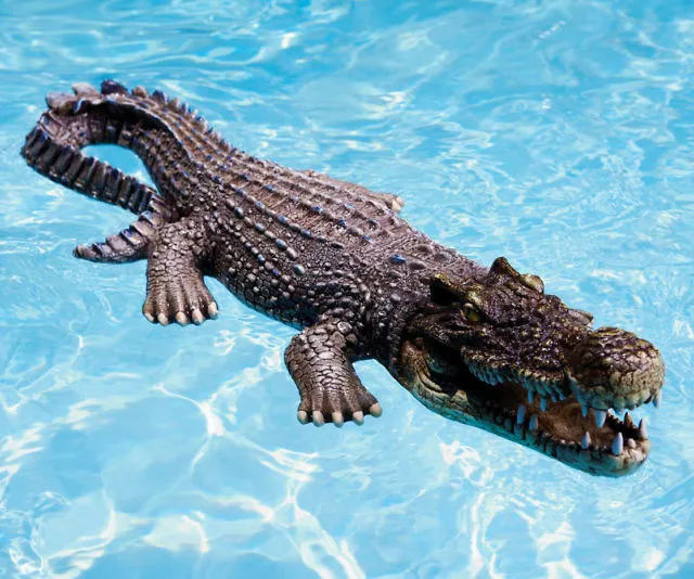 Floating Crocodile Pool Toy