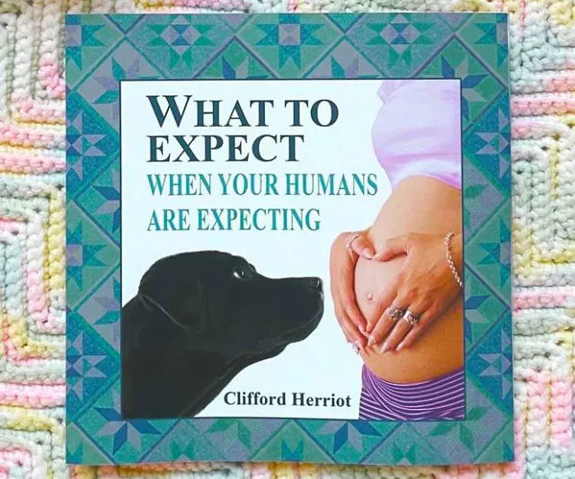 What to Expect When Your Humans Are Expecting