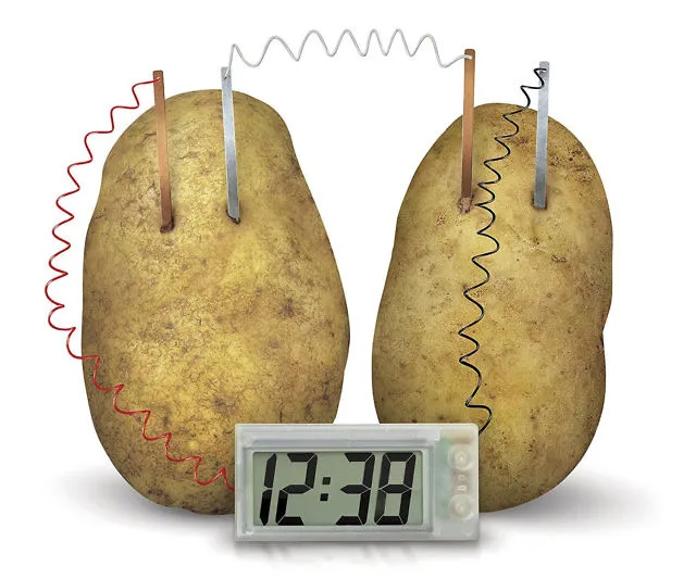 Unleash the Power of Potatoes with the Potato Powered Clock Science Kit