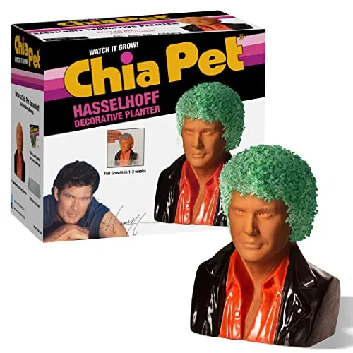 Grow Fun with David Hasselhoff Chia Pet