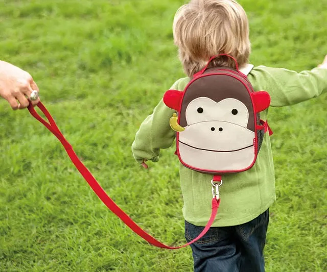 Stay Close and Safe with Toddler Leashes