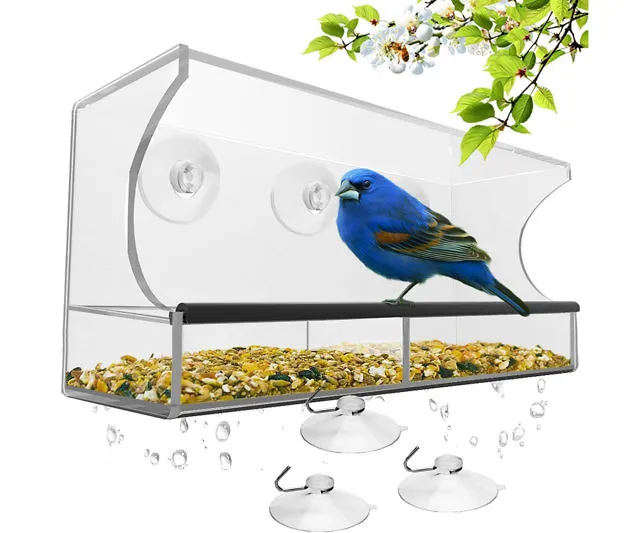 Transparent Window Bird Feeder