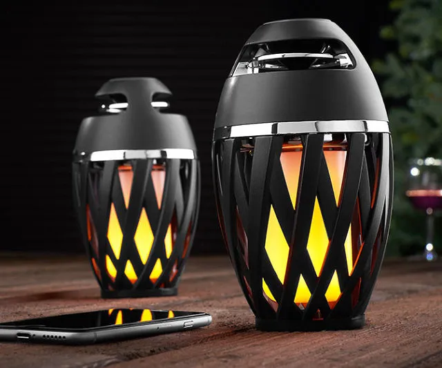 Portable LED Speakers