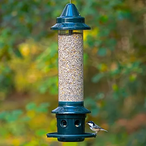 Protect Bird Feeder from Squirrels