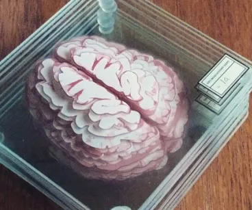 Brain Specimen Coasters: Anatomical Fun with Every Sip