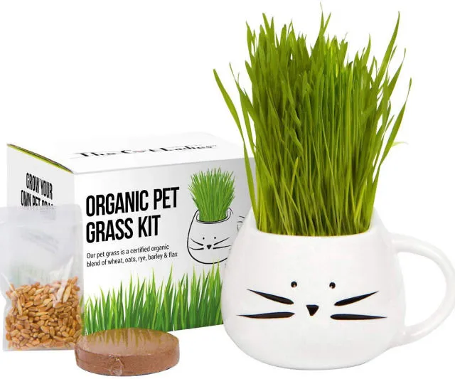 Happy Cat, Healthy Cat with Cat Grass Growing Kit
