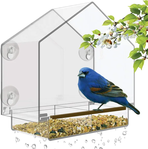 Clear Acrylic Window Bird Feeder