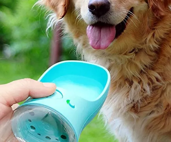 MalsiPree Leakproof Dog Water Bottle