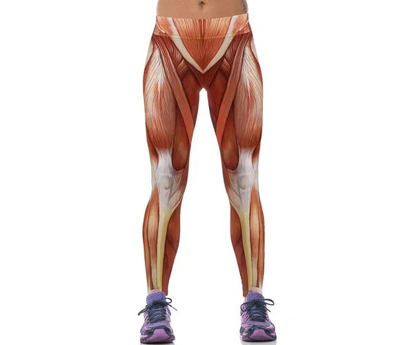 Workout in Style with Anatomical Muscle Leggings