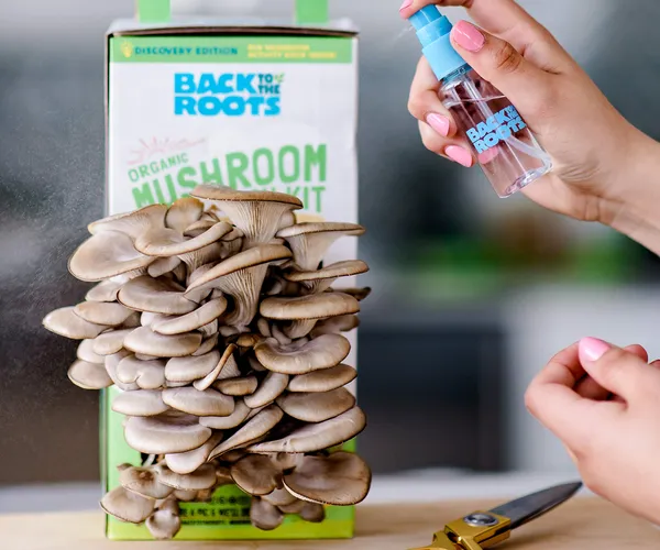 Gourmet Mushroom Growing Kit